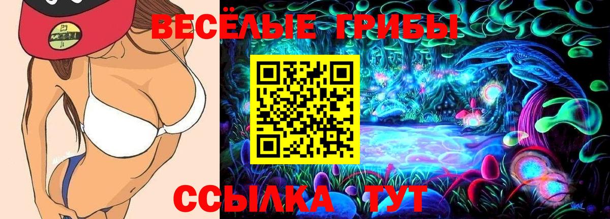Галлюциногенные грибы Psilocybine cubensis Елизово