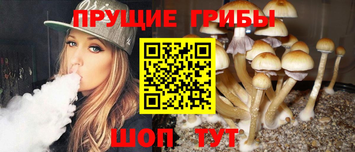 Галлюциногенные грибы MAGIC MUSHROOMS  Вход с VPN  наркотики  Елизово 